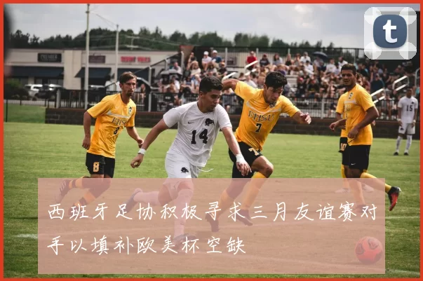 西班牙足协积极寻求三月友谊赛对手以填补欧美杯空缺