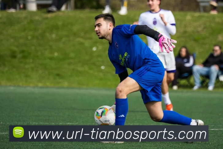 天博体育平台生态图